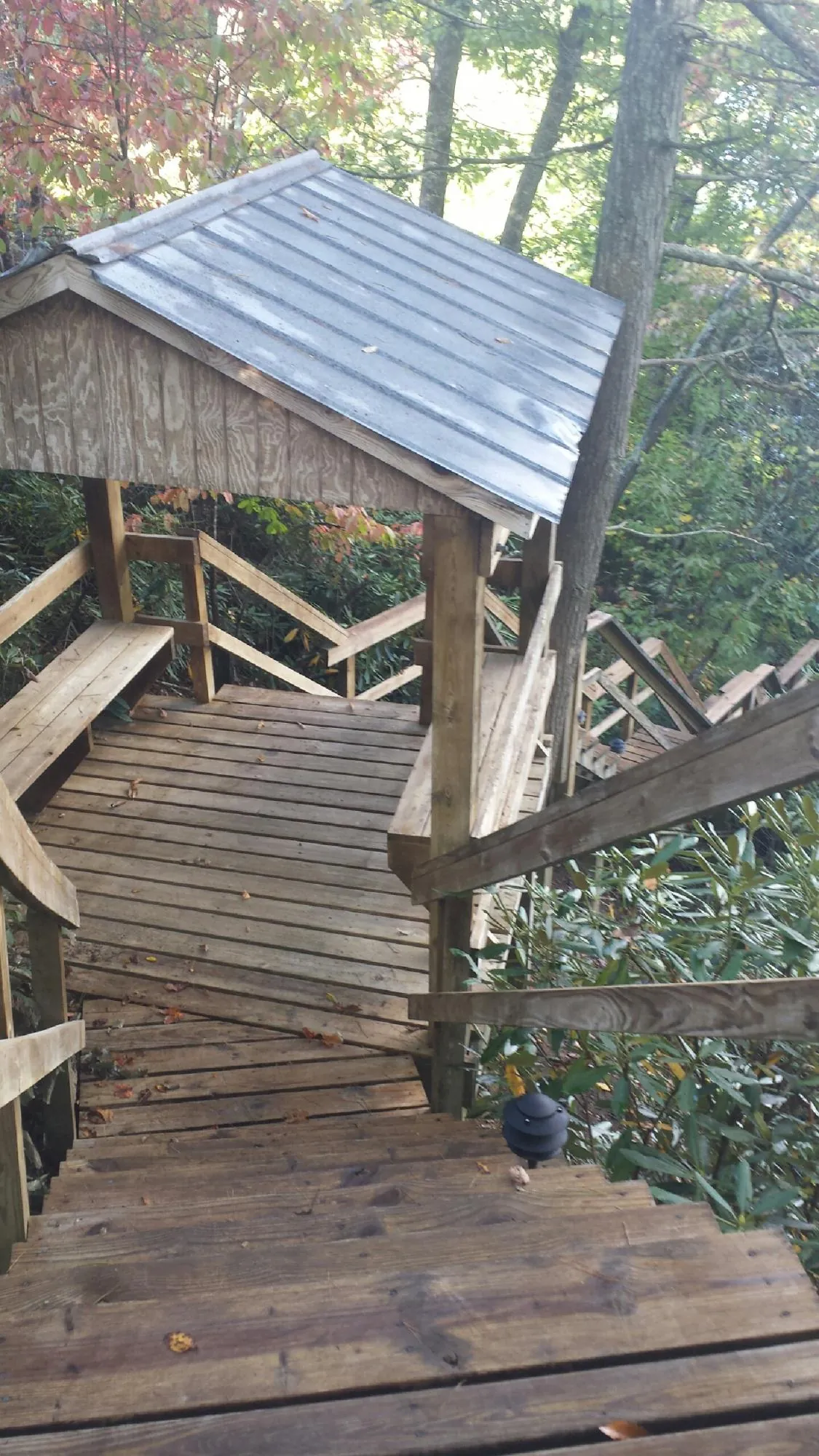 Metal roofed shelter over wooden steps on a wooded walkway — Skylight Repair & Installation work by our crew in Newton Grove